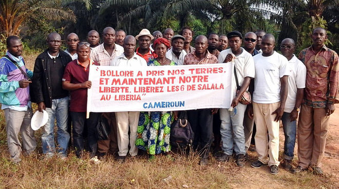 Protest der Bauern: "Bolloré hat unser Land genommen. Und jetzt unsere Freiheit." Bauern demonstrieren auf einer Plantage der Firma Socfin in Kamerun