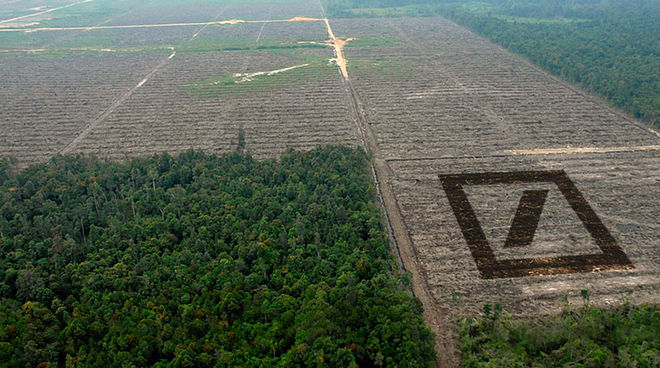 Die Deutsche Bank sucht Investoren für den Kahlschlag. Statt artenreichem Regenwald sollen in Indonesien und Afrika bald noch mehr großflächig Palmöl-Monokulturen entstehen