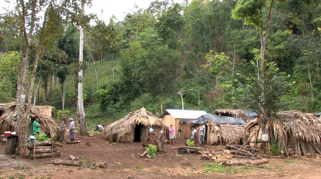 Vertriebene Gemeinde im Bezirk Petén (Foto: Gregory Lassale) Ein Flüchtlingscamp im Wald