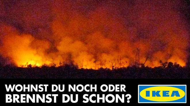 Advent, Advent der Regenwald brennt...
