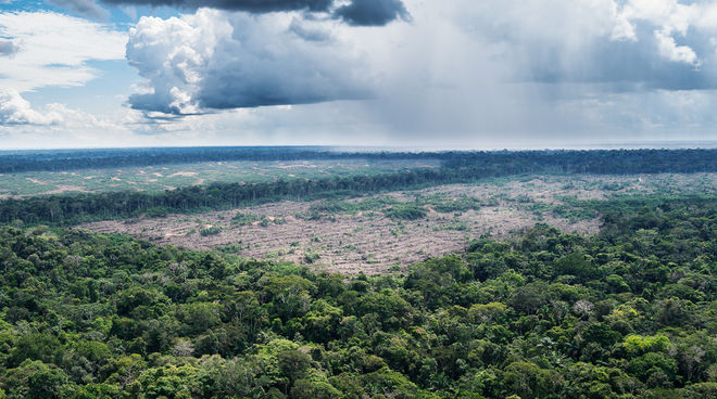 Luftaufnahme Urwälder in der Nähe des Amazonas-Dorfes Tamshiyacu in Peru