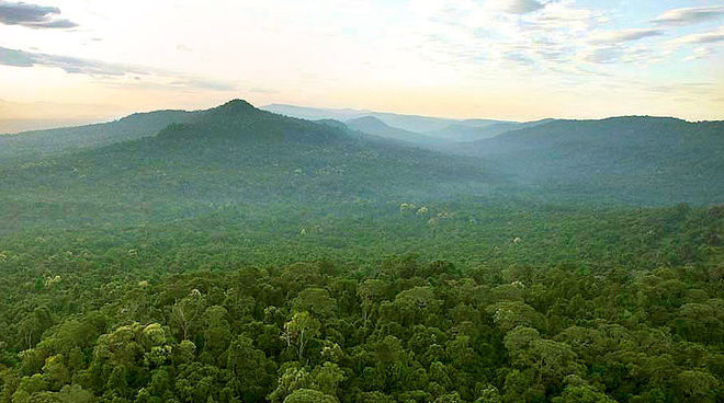 So muss es bleiben: Regenwald bis zum Horizont (Foto: Luke Duggleby) Regenwald in Kambdoscha