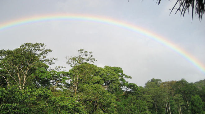 Schön und gefährdet: Biosphärenreservat Indio Maíz Regenwald in Nicaragua