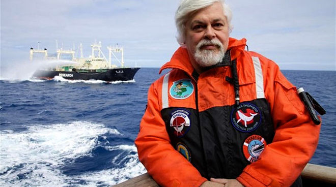 Paul Watson setzt sich unermüdlich zum Schutz der Meere ein (Foto: Sea Shepherd, Barbara Veiga)