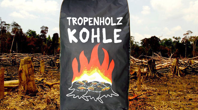 Der Tropenwald endet als Holzkohle für unsere Grillfeiern