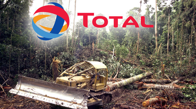 Biosprit aus Palmöl führt zur Rodung der Regenwälder Total Regenwald Rodung