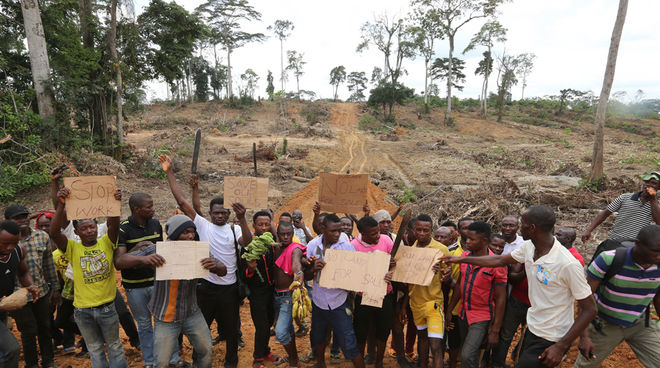In Nigeria kämpfen die Menschen gegen die Zerstörung der Regenwälder durch den Palmöl-Konzern Wilmar In Nigeria demonstrieren Kleinbauern gegen Palmöl-Plantagen von Wilmar.