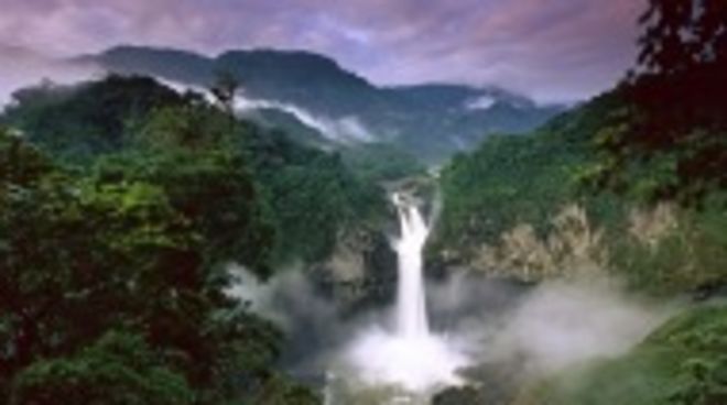 Der Nationalpark Yasuní in Ecuador braucht unsere Hilfe