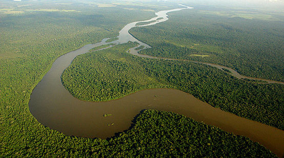 Der Fluss Teles Pires schlängelt sich durch den Regenwald