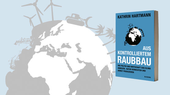 Blaues Buch Raubbau