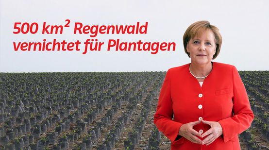 Collage: Angela Merkel vor Palmöl Plantagen in Indonesien