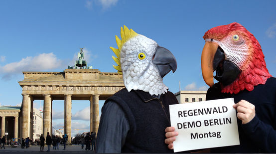 Regenwald Demo in Berlin Montag