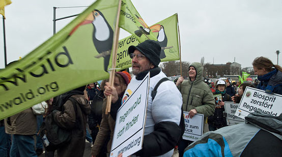 Demonstranten bei der "Wir haben es satt" Demo