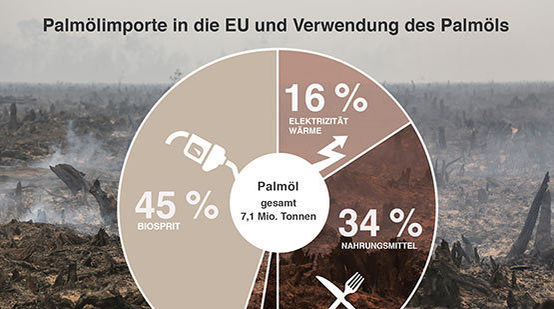 45 Prozent des Pamöl für Biodiesel