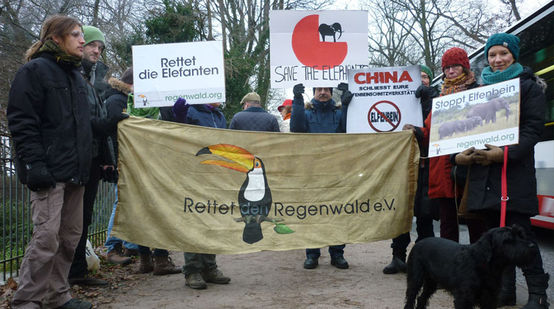 Mehrere Menschen demonstrieren vor Chinas Konsulat in Hamburg gegen Elfenbeinhandel