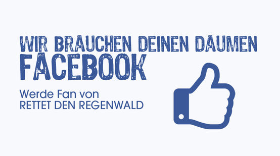 Facebook-Symbol "Werde Fan von Rettet den Regenwald"