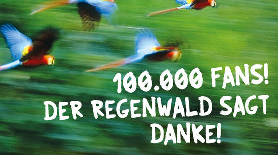 Über ein Bild fliegender Papageien ist der Schriftzug "100.000 Fans! Der Regenwald sagt Danke!" montiert.