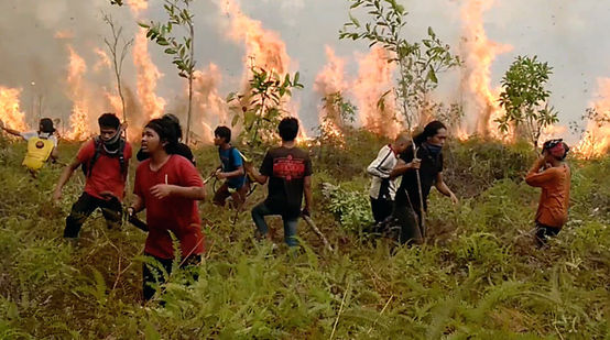 Im Nationalpark Tanjung Puting in Indonesien löschen Umweltschützer um den Aktivist Basuki Feuer