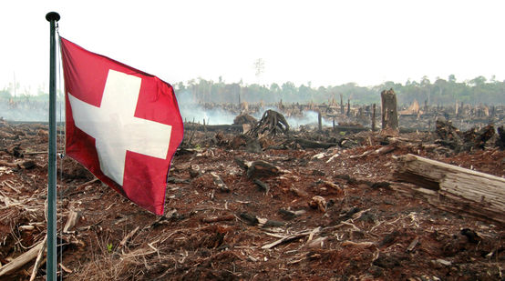 Schweizer Flagge verbrannter Wald