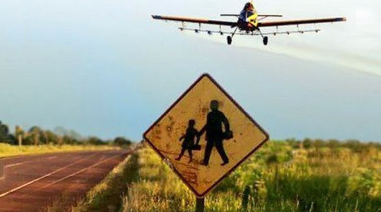 Ein Flugzeug versprüht Pestizide über einem Sojafeld