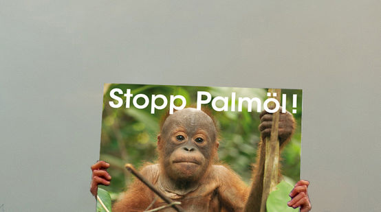 Plakat mit der Aufschrift "Stopp Palmöl"