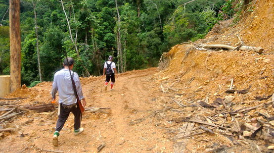 Illegale Rodung in Sarawak/Malaysia