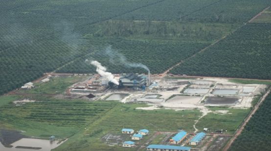 Palmölfabrik mit rauchenden Schornsteinen