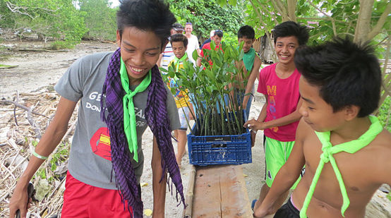 Helfer setzen Mangrovensetzlinge auf Samal Island/Philippinen aus