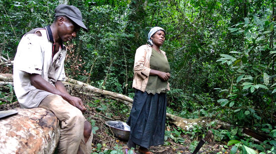 Verarmte Frau in Nigeria sammelt Forest Mangos