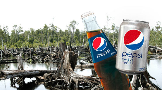 Vor einer Rodung von Regenwald sind eine Dose und eine Flasche Pepsi-Cola zu sehen.