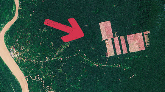 Das Satelliten-Bild zeigt Tamshiyacu am Amazonas und die Rodungen mitten im Urwald
