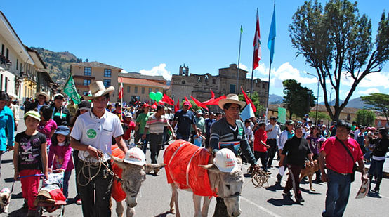 Protestierende gegen das Conga Projekt