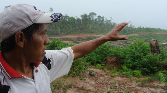 Ein Kleinbauer zeigt eine frische Rodungsfläche im Amazonaswald