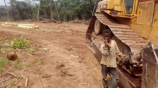 Ein kleiner Junge steht neben einem Bulldozer auf einer bereits gerodeten Fläche im Regenwald
