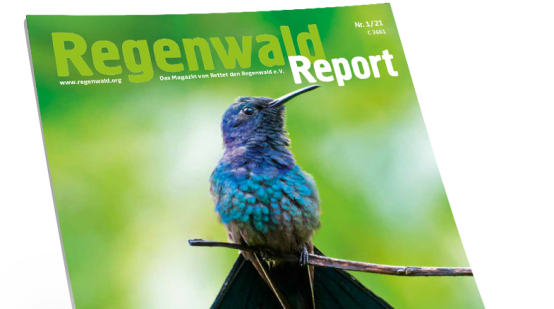 Titel Regenwald Report 1/21