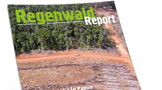 Titel Regenwald Report 2/20