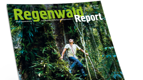 Titel Regenwald Report 3/19