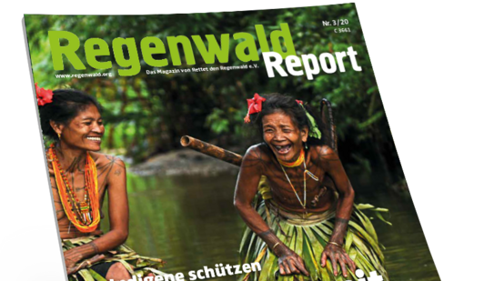 Titel Regenwald Report 3/20