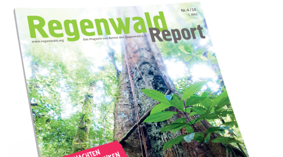 Regenwaldreport Aufmacher 4-18