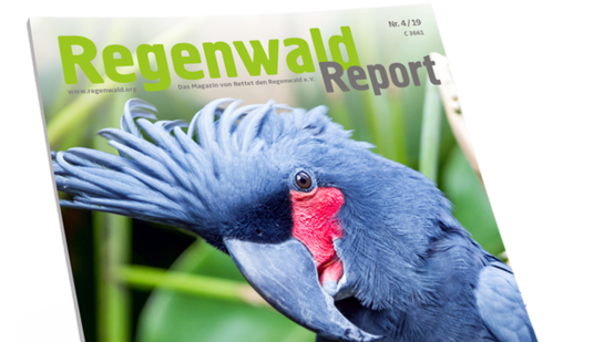 Titel Regenwald Report 4/19