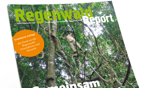Titel Regenwald Report 4/22