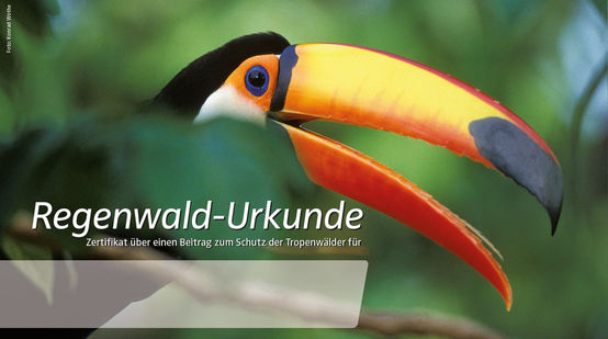 Urkunde auf dem ein Tukan groß abgebildet ist