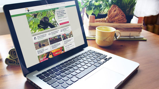 Mockup Website Relaunch deutsch