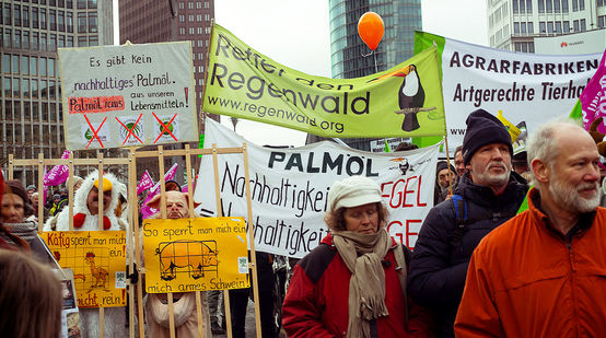 Aktivisten von Rettet den Regenwald demonstrieren auf der Wir haben es satt Demo 2016 in Berlin