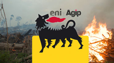 ENI abgebrannter Regenwald und Feuer