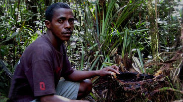 Armand Marozafy im Wald von Madagaskar