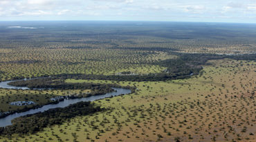 Landschaft aus der Vogelperspektive mit Wald und Fluss
