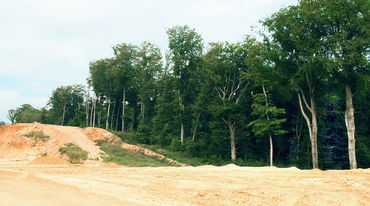 Sand vor dem Buschbeller Wald