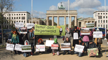 Regenwald Demo - 18. April 2016 - RdR vor Brandenburger Tor