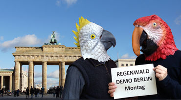 Regenwald Demo in Berlin Montag